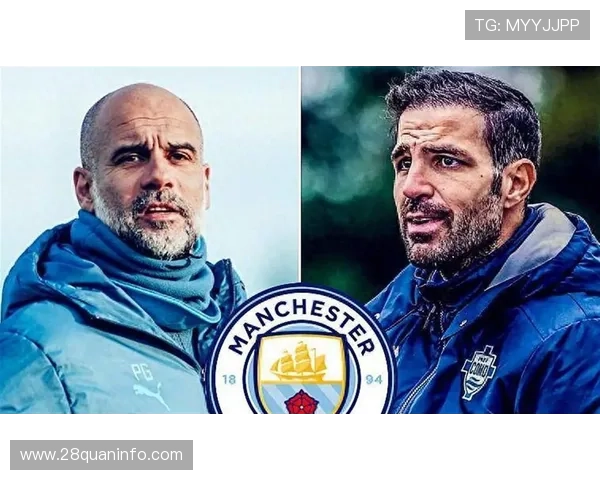 意甲积分榜风云再起豪门争霸与黑马崛起全景解析与赛季走势前瞻