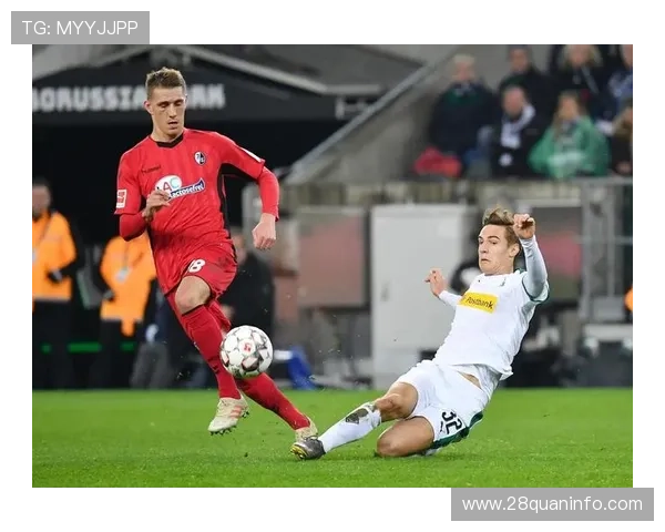 弗赖堡俱乐部的崛起与挑战 解析德国足球中小俱乐部的成功之路